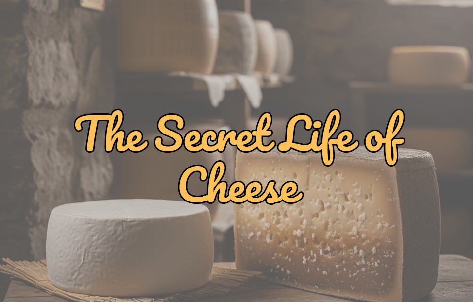 The Secret Life of Cheese - Gardners Wisconsin Cheese and Sausage