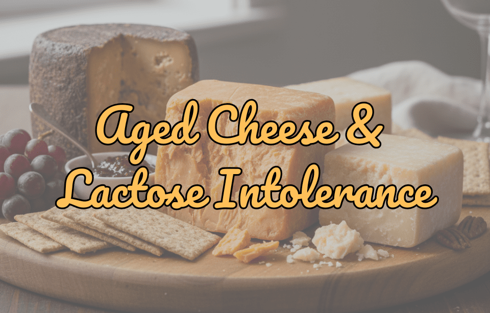Aged Cheese & Lactose Intolerance: Can You Still Enjoy Wisconsin Cheese? - Gardners Wisconsin Cheese and Sausage