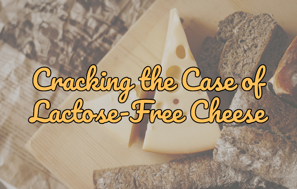 Cracking the Case of Lactose-Free Cheese: Is It Really Dairy? - Gardners Wisconsin Cheese and Sausage
