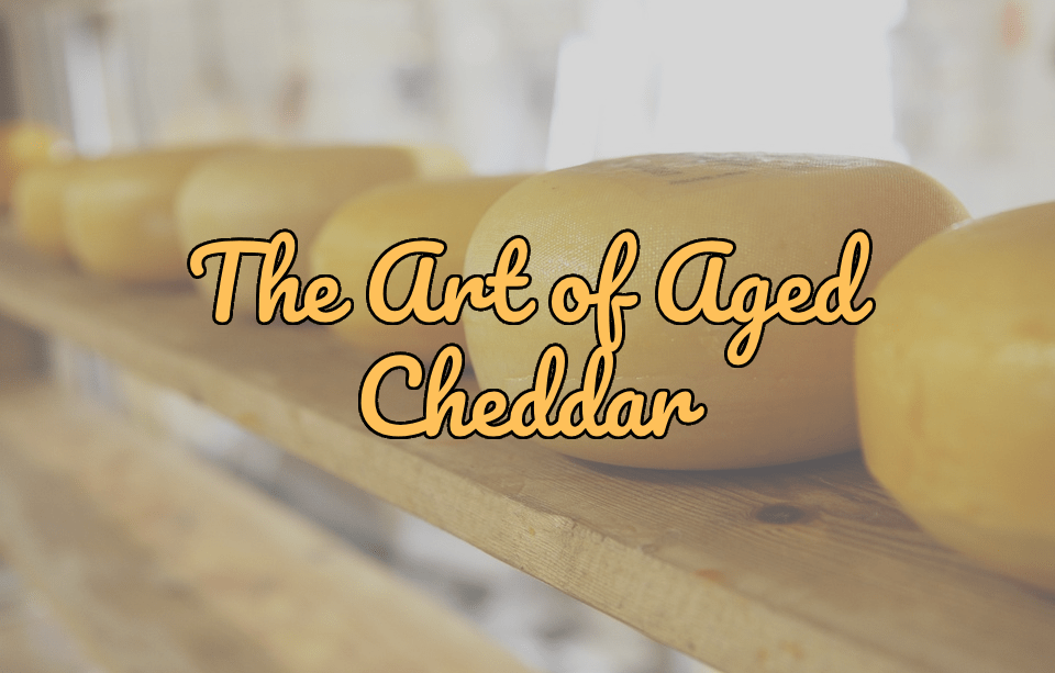 The Art of Aged Cheddar: Finding Your Perfect Pungent Partner! - Gardners Wisconsin Cheese and Sausage
