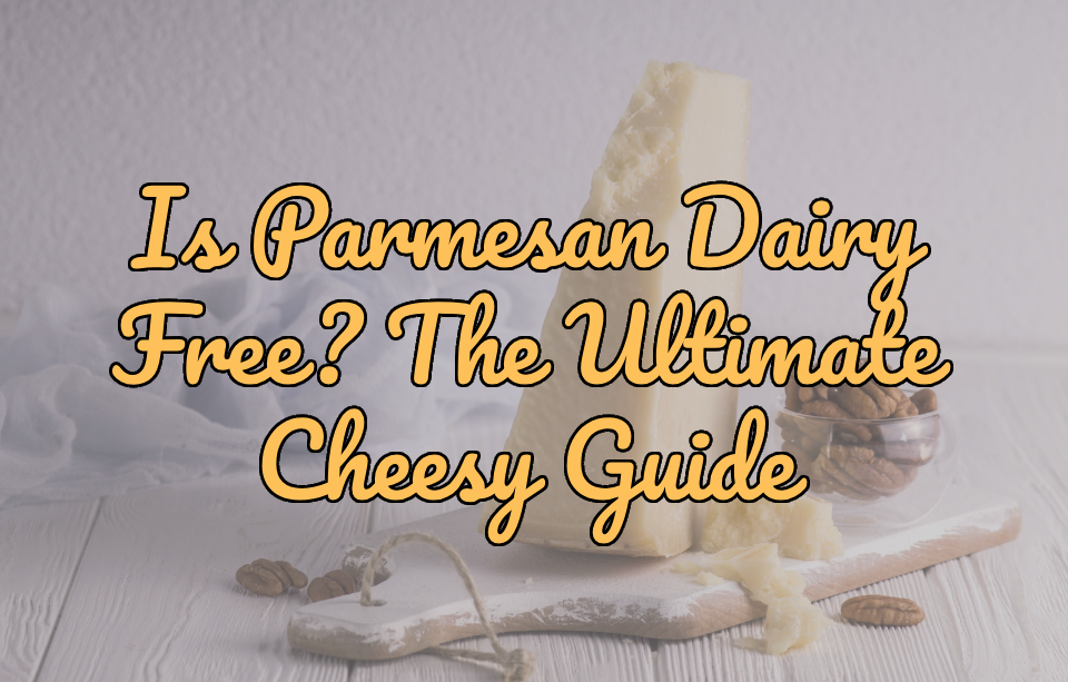 Is Parmesan Dairy Free? The Ultimate Cheesy Guide For The Lactose Intolerant