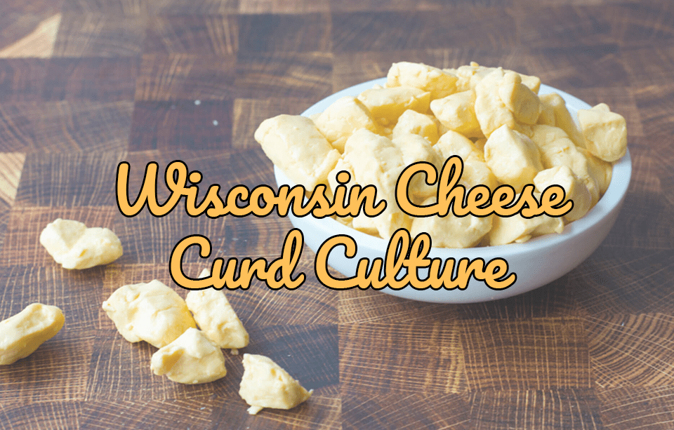 Wisconsin Cheese Curd Culture: Why the Midwest Can’t Get Enough - Gardners Wisconsin Cheese and Sausage
